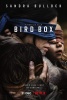 small rounded image Bird Box