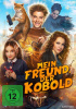 small rounded image Mein Freund, der Kobold