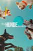 small rounded image Was Hunde denken