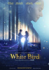 small rounded image White Bird: A Wonder Story