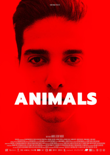 stream Animals - Wie wilde Tiere