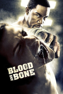 stream Blood and Bone - Rache um jeden Preis