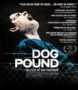 stream Dog Pound