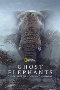 stream Ghost Elephants - Die Geister im Hochland Angolas