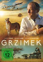 stream Grzimek