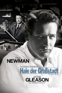 stream Haie der Großstadt