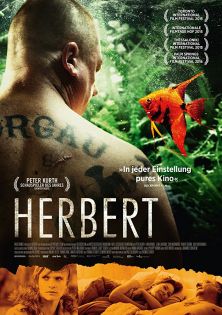 stream Herbert