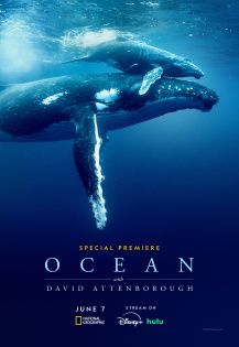 stream Ozean mit David Attenborough