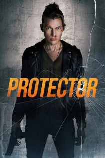 stream Protector