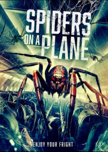 stream Spiders on a Plane