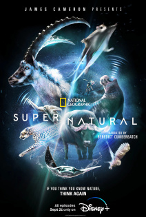 stream Super Natural S01E01