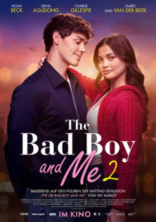 stream The Bad Boy and Me 2