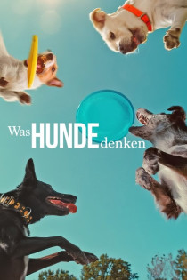 stream Was Hunde denken