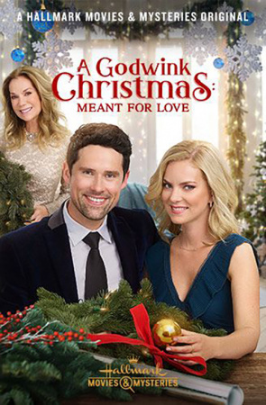 A Godwink Christmas: Meant for Love