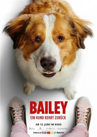 Bailey - Ein Hund kehrt zurück