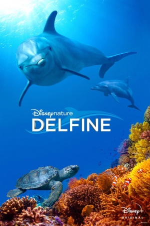 Delfine