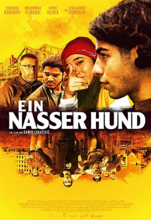 Ein Nasser Hund