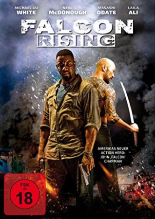 Falcon Rising