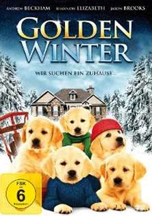 Golden Winter Wir suchen ein Zuhause