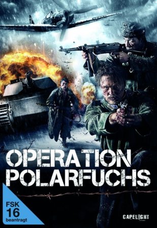 Operation Polarfuchs